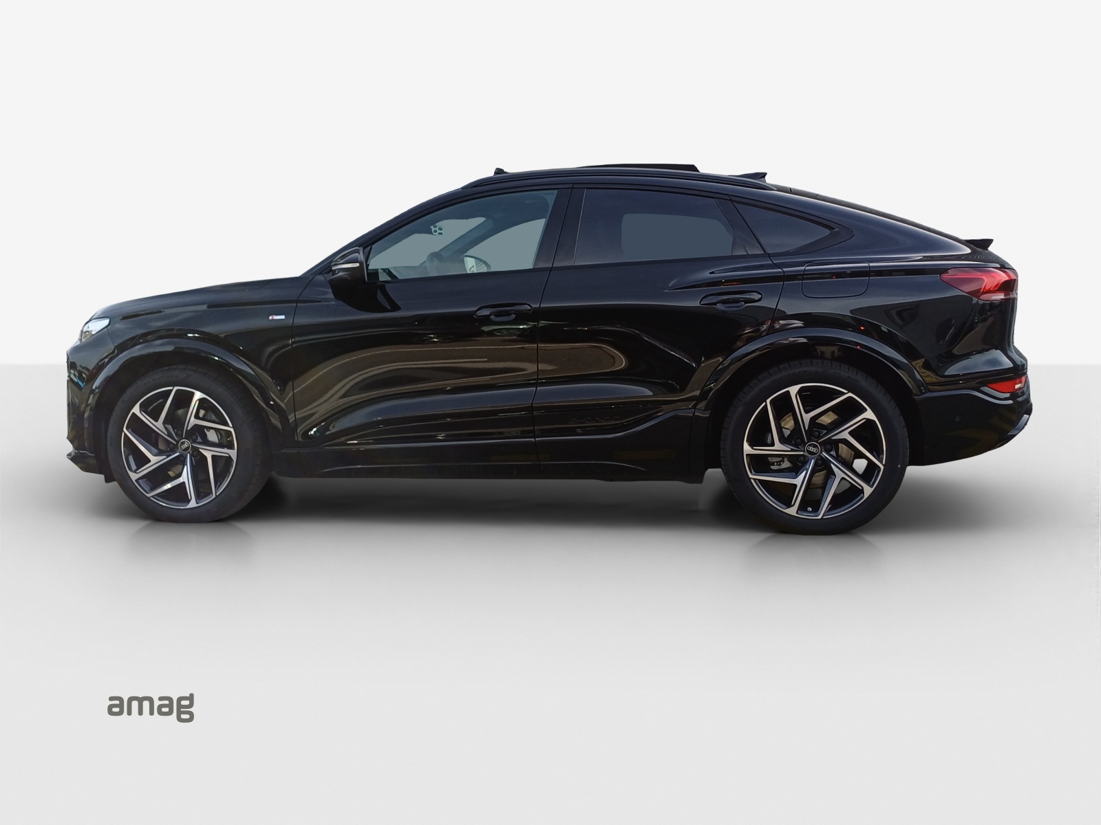 Audi Q6 - Bild folgt... 1