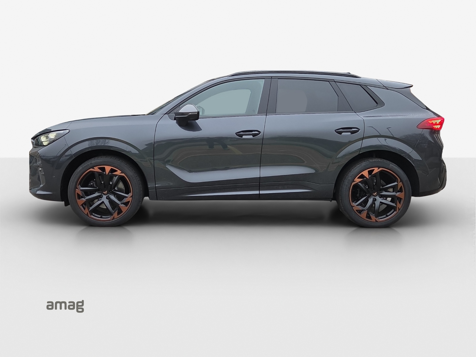 Cupra Terramar - Bild folgt... 1