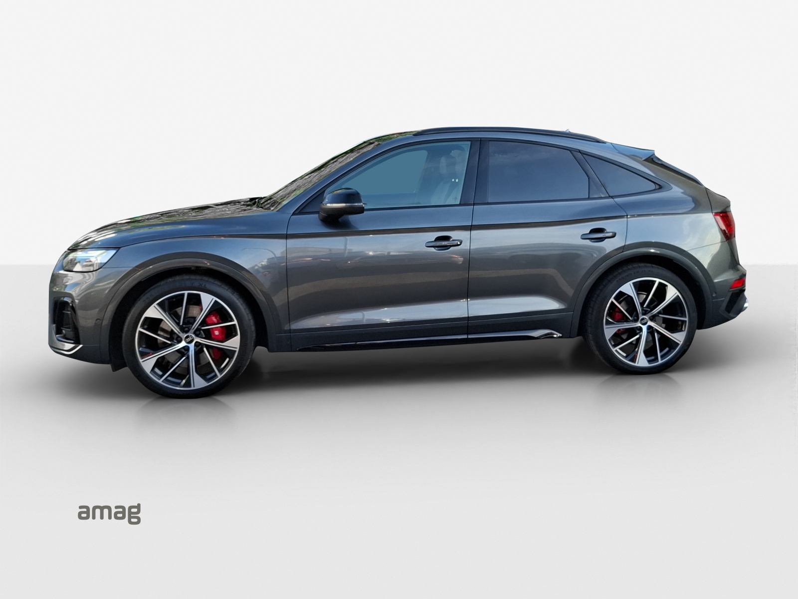 Audi SQ5 - Bild folgt... 1