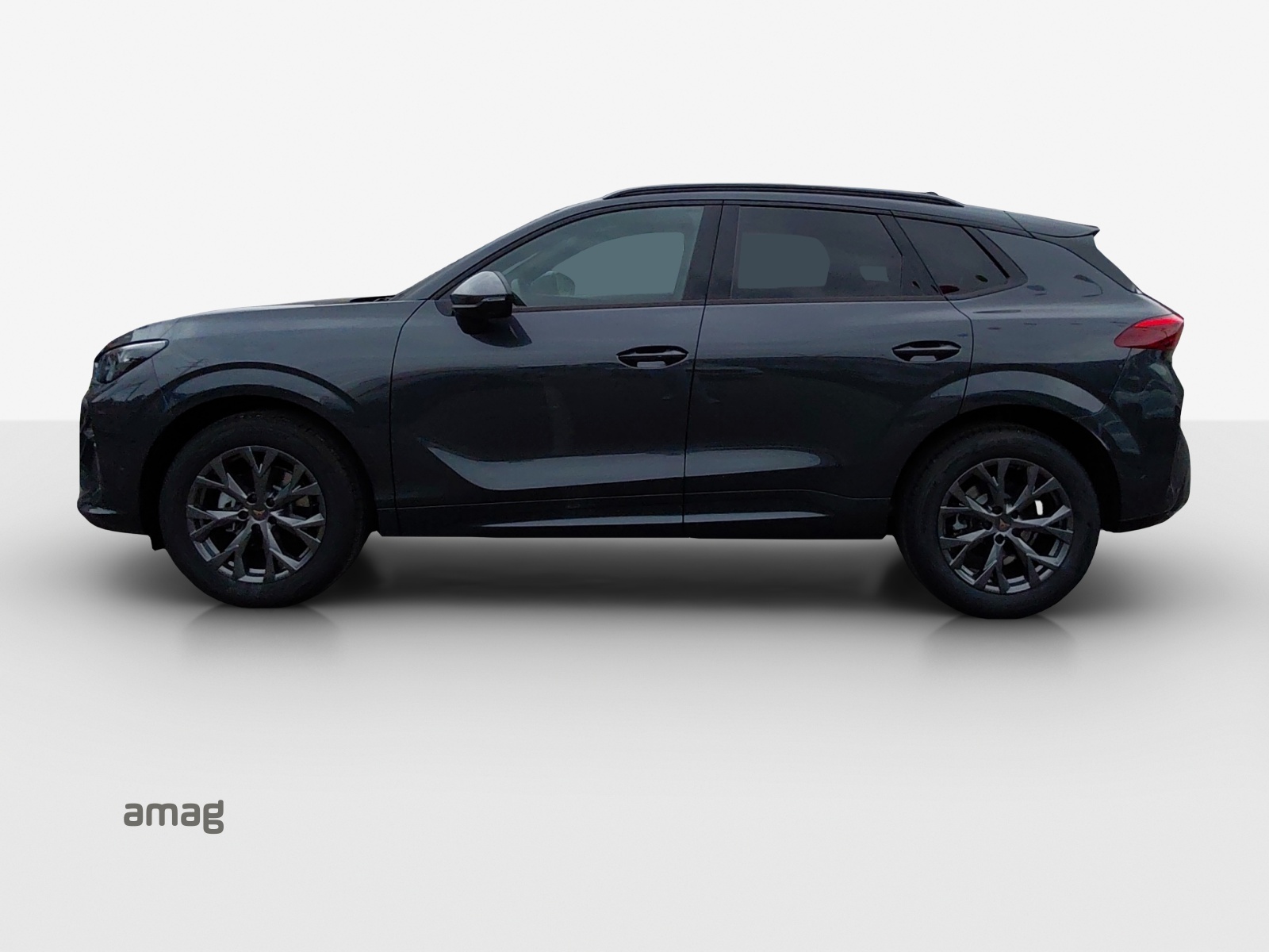 Cupra Terramar - Bild folgt... 1