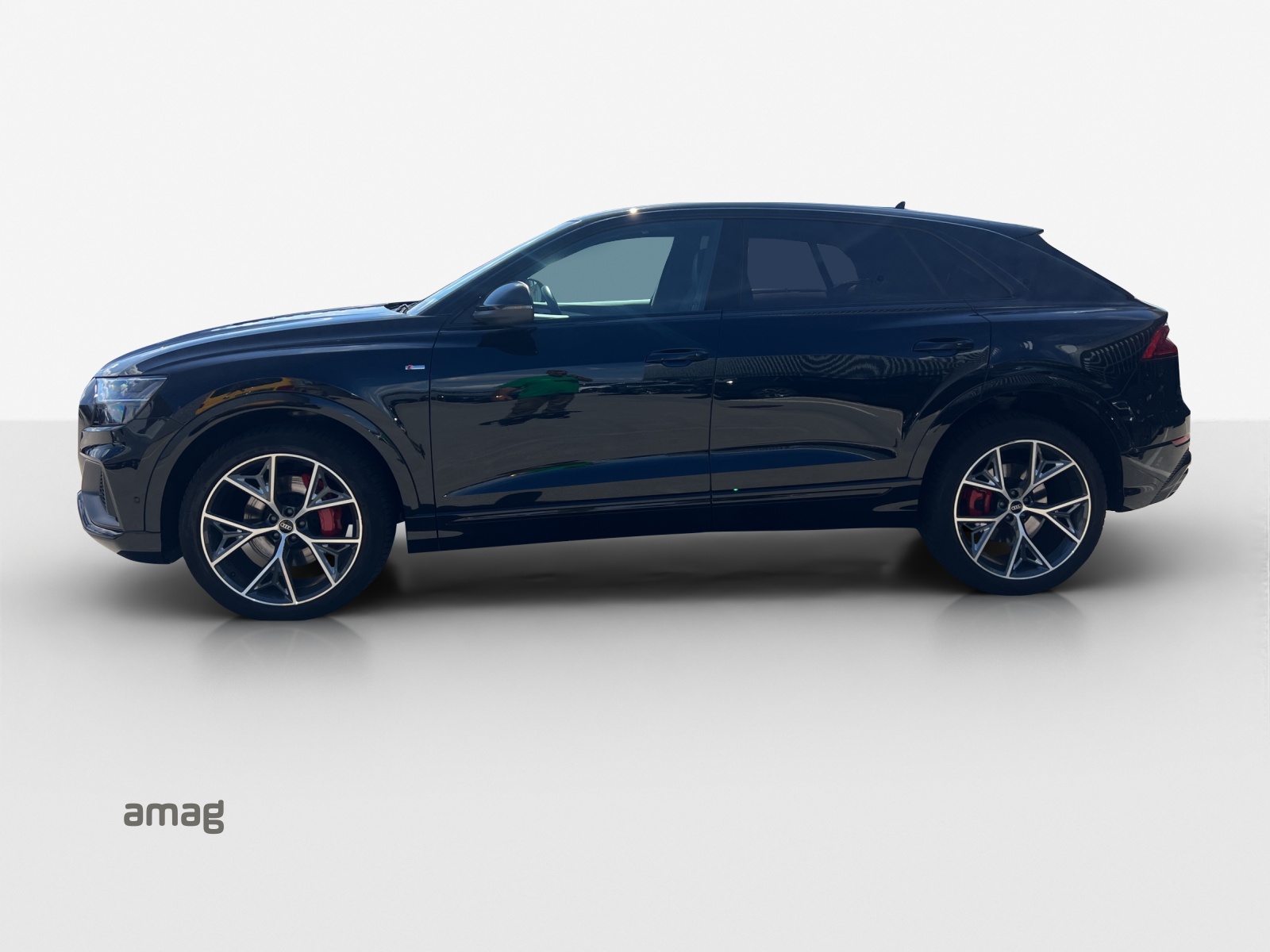 Audi Q8 - Bild folgt... 1