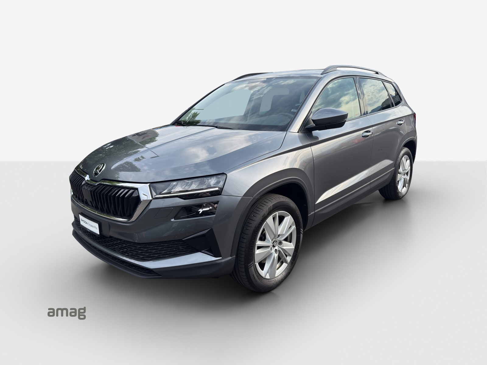 Škoda Karoq Leasing & Auto-Abo Angebot