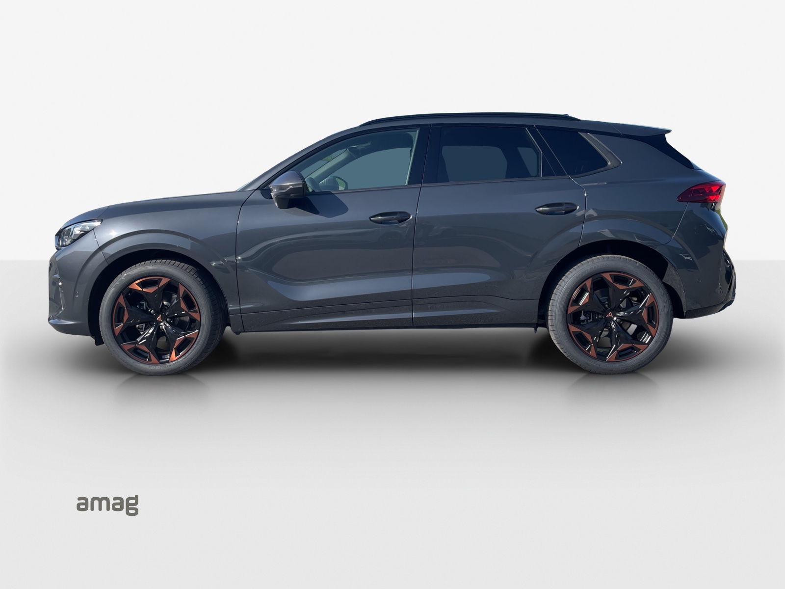 Cupra Terramar - Bild folgt... 1