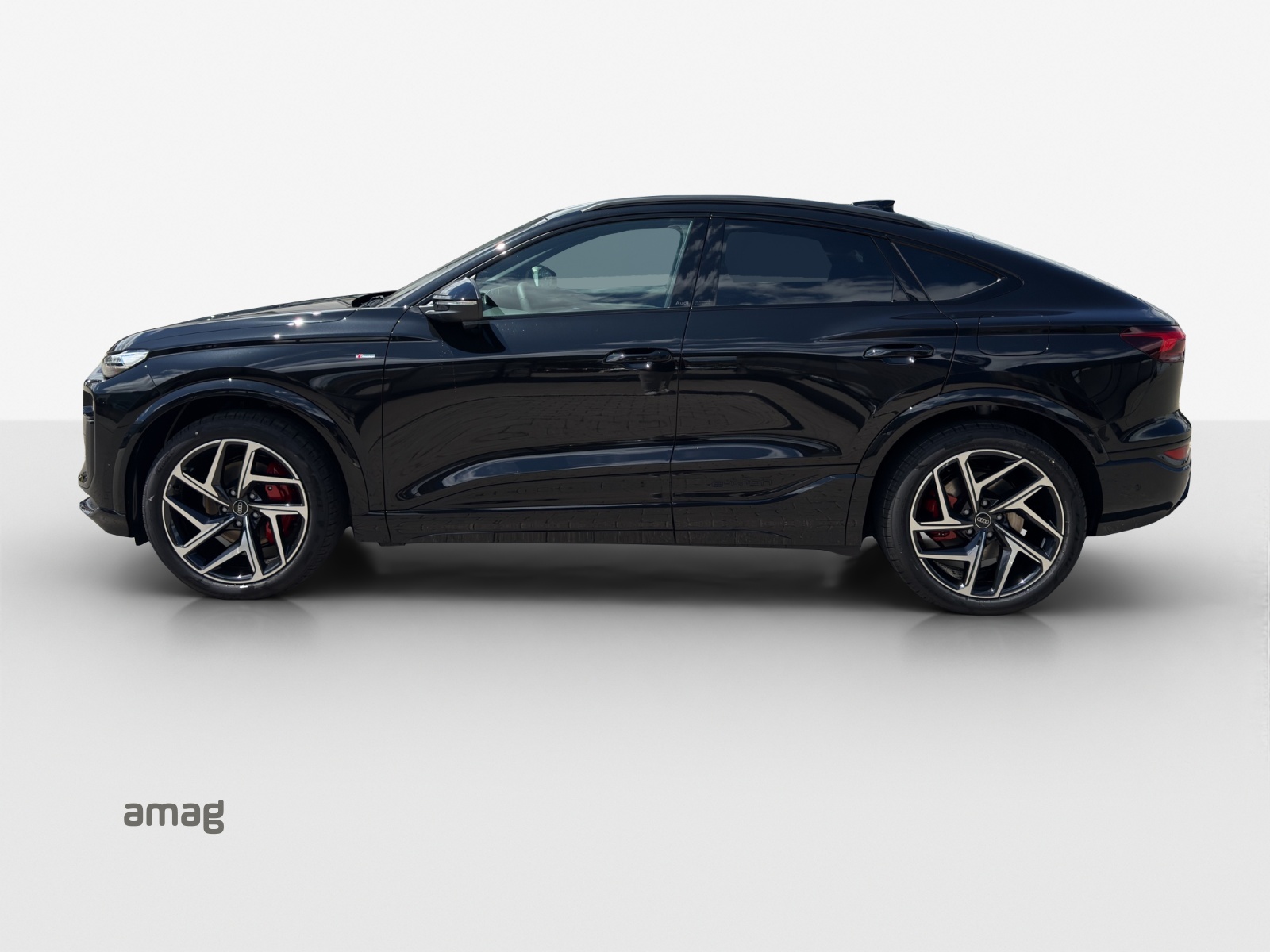 Audi Q6 - Bild folgt... 1
