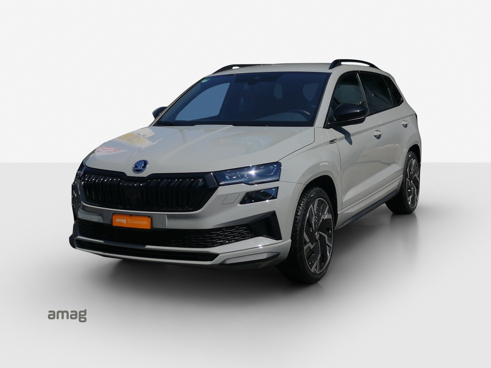 Škoda Karoq Leasing & Auto-Abo Angebot