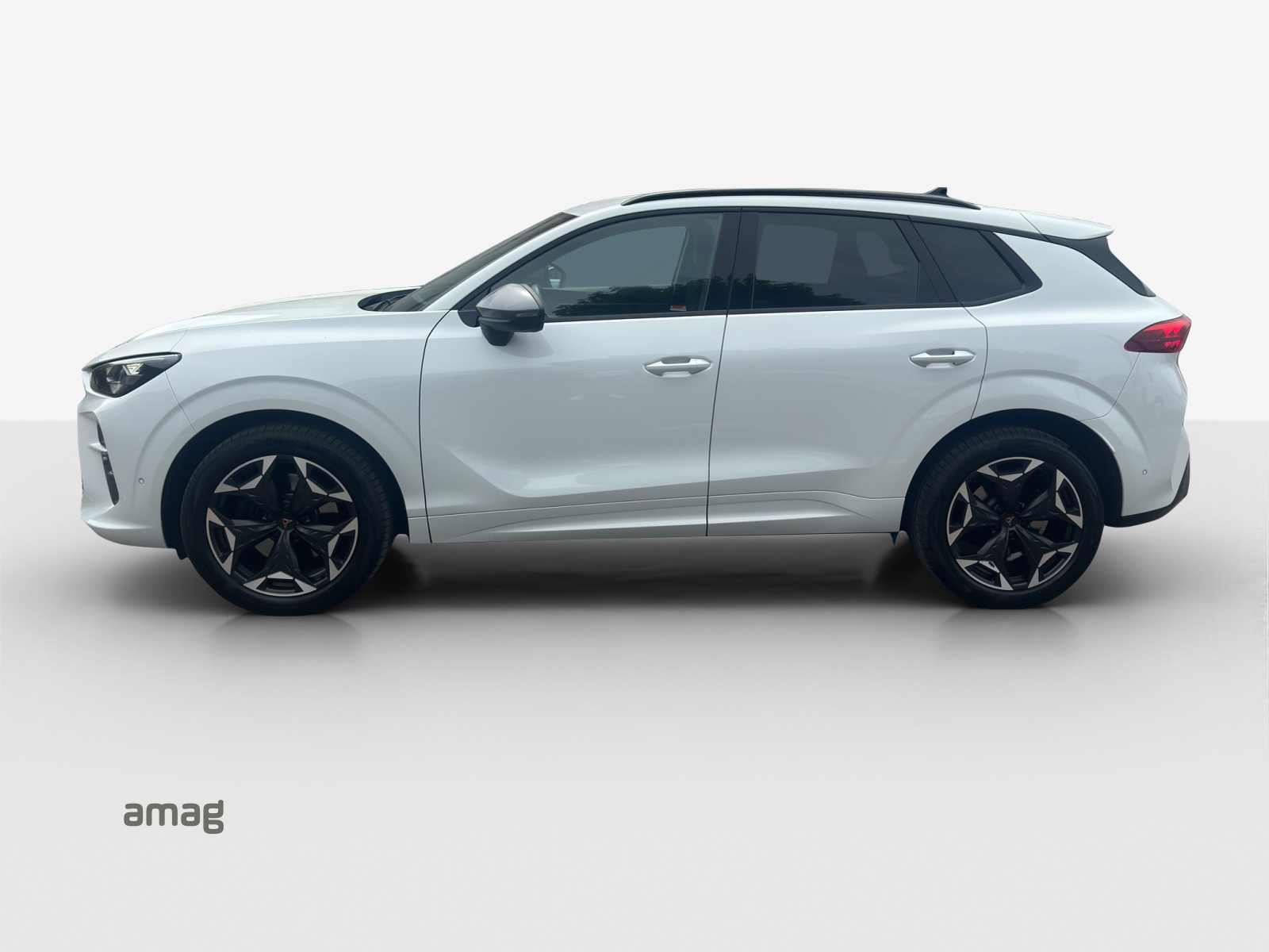 Cupra Terramar - Bild folgt... 1