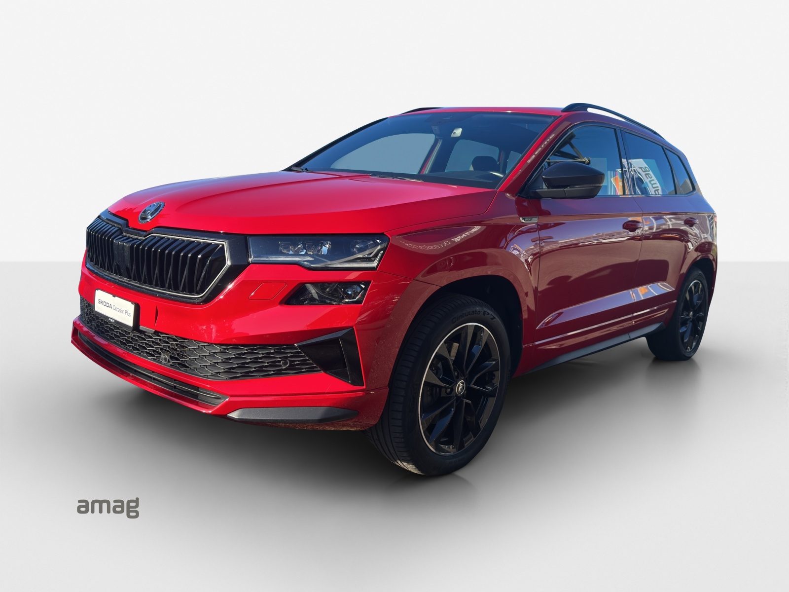 Škoda Karoq Leasing & Auto-Abo Angebot