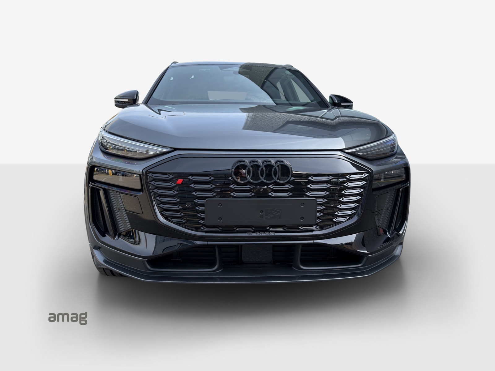 Audi SQ6 - Bild folgt... 1
