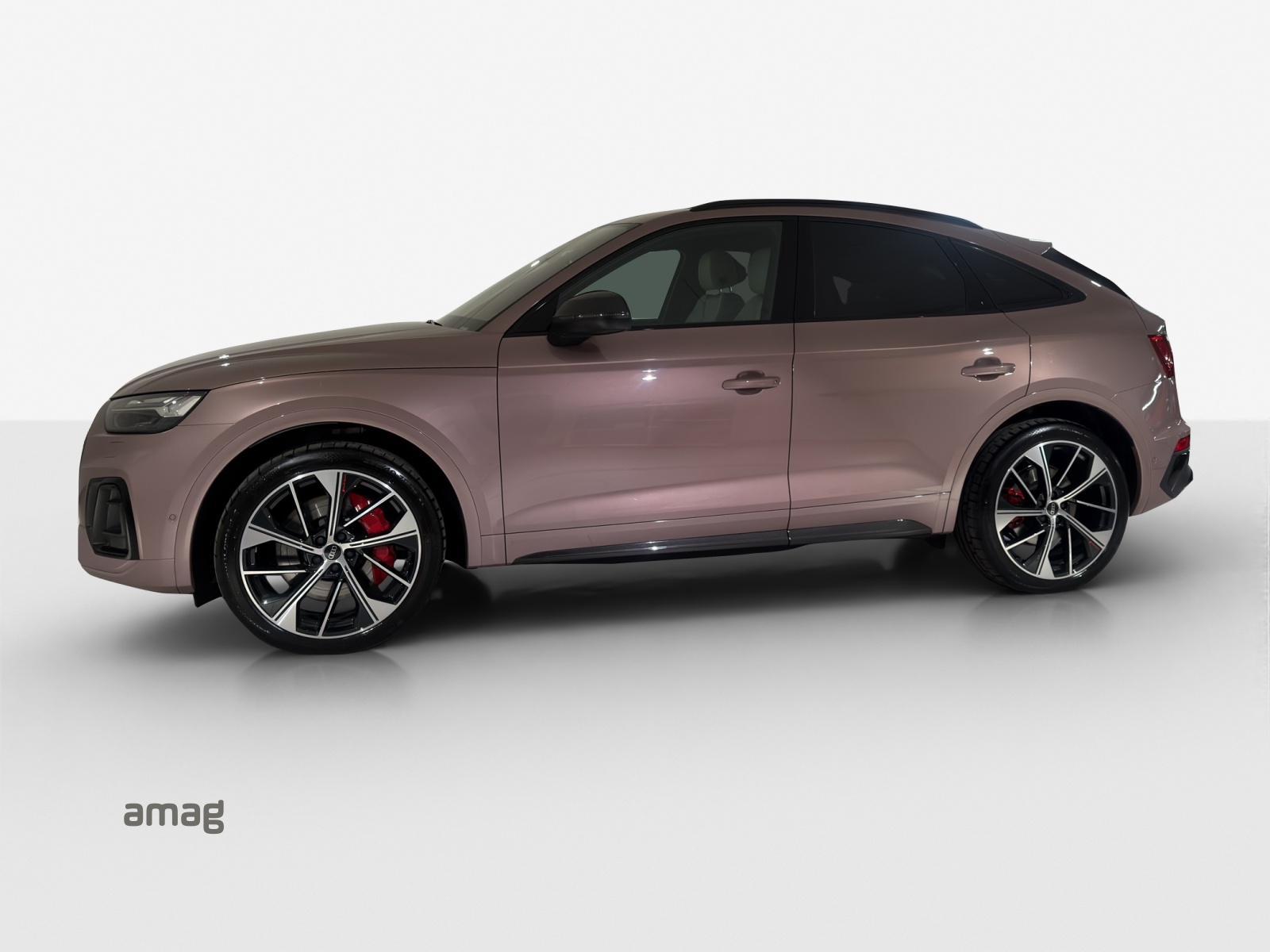 Audi SQ5 - Bild folgt... 1