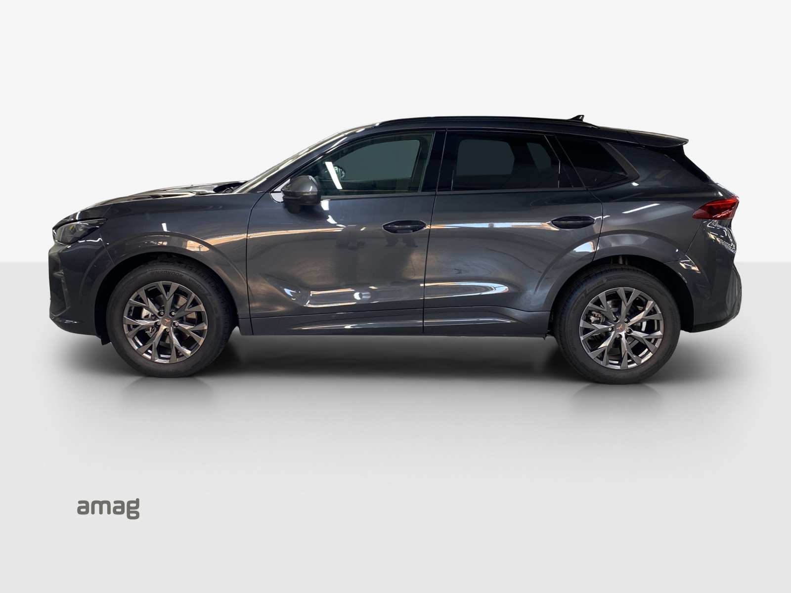 Cupra Terramar - Bild folgt... 1