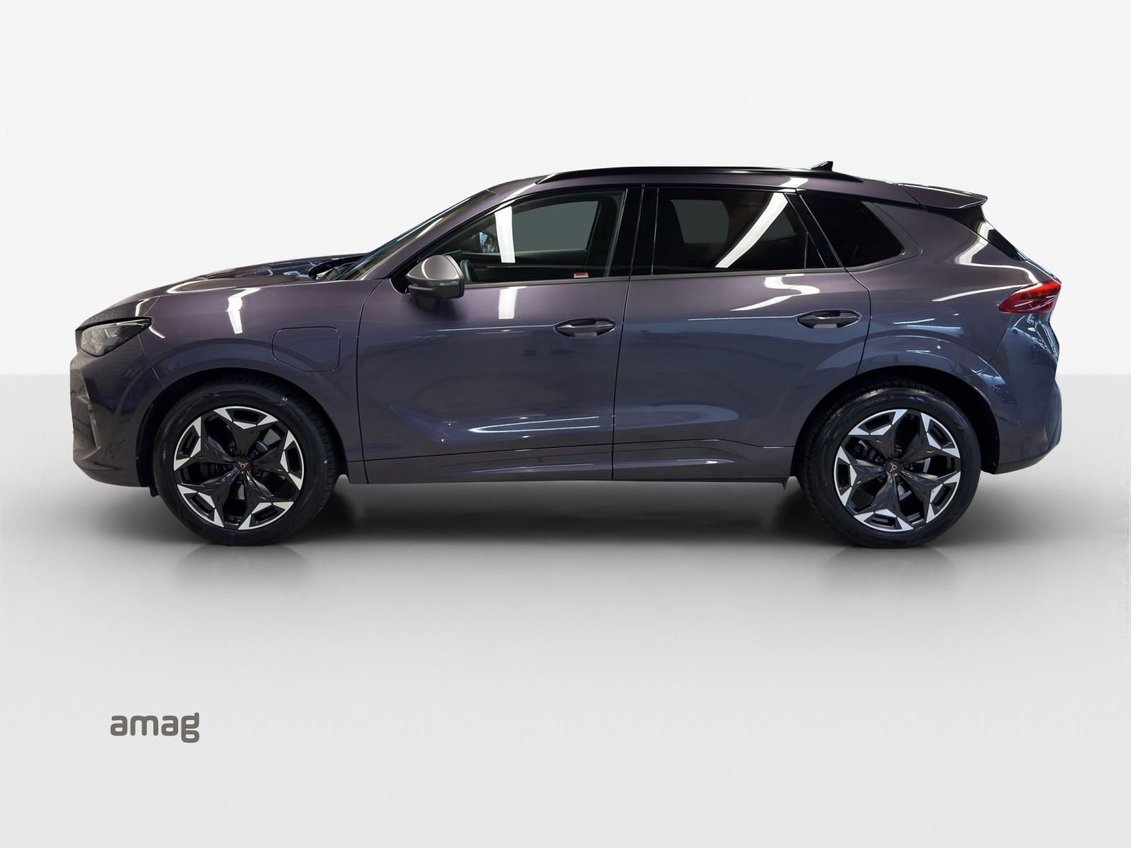 Cupra Terramar - Image à venir... 1