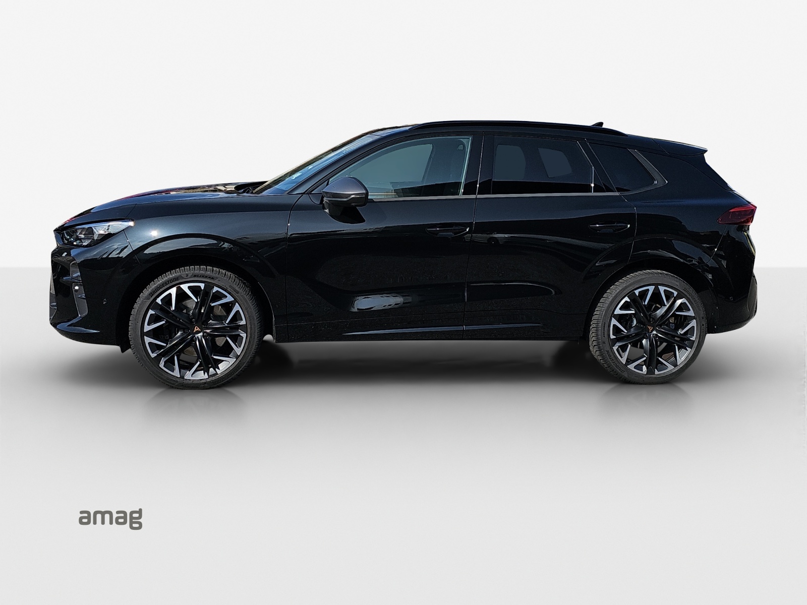 Cupra Terramar - Bild folgt... 1