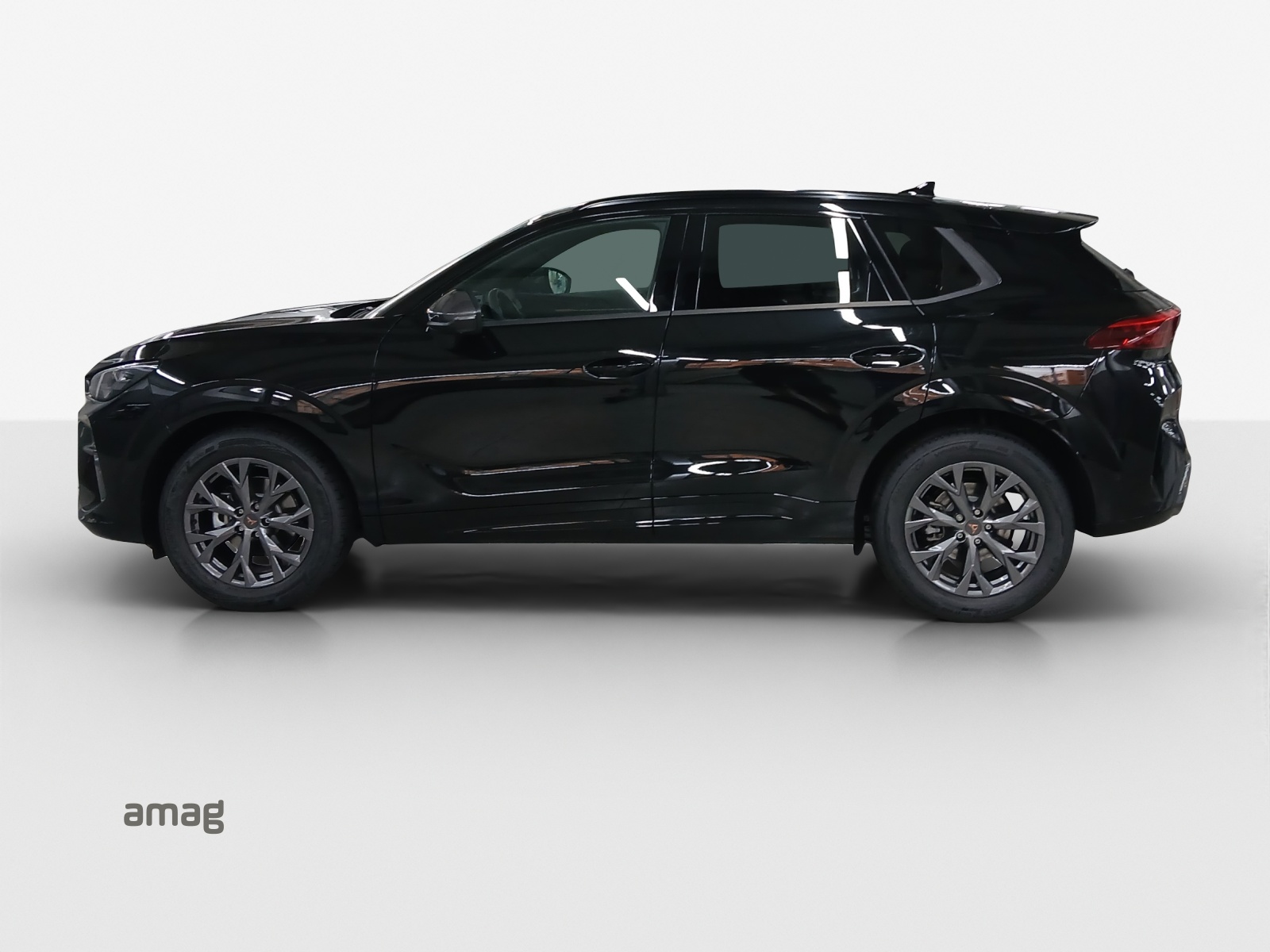 Cupra Terramar - Bild folgt... 1