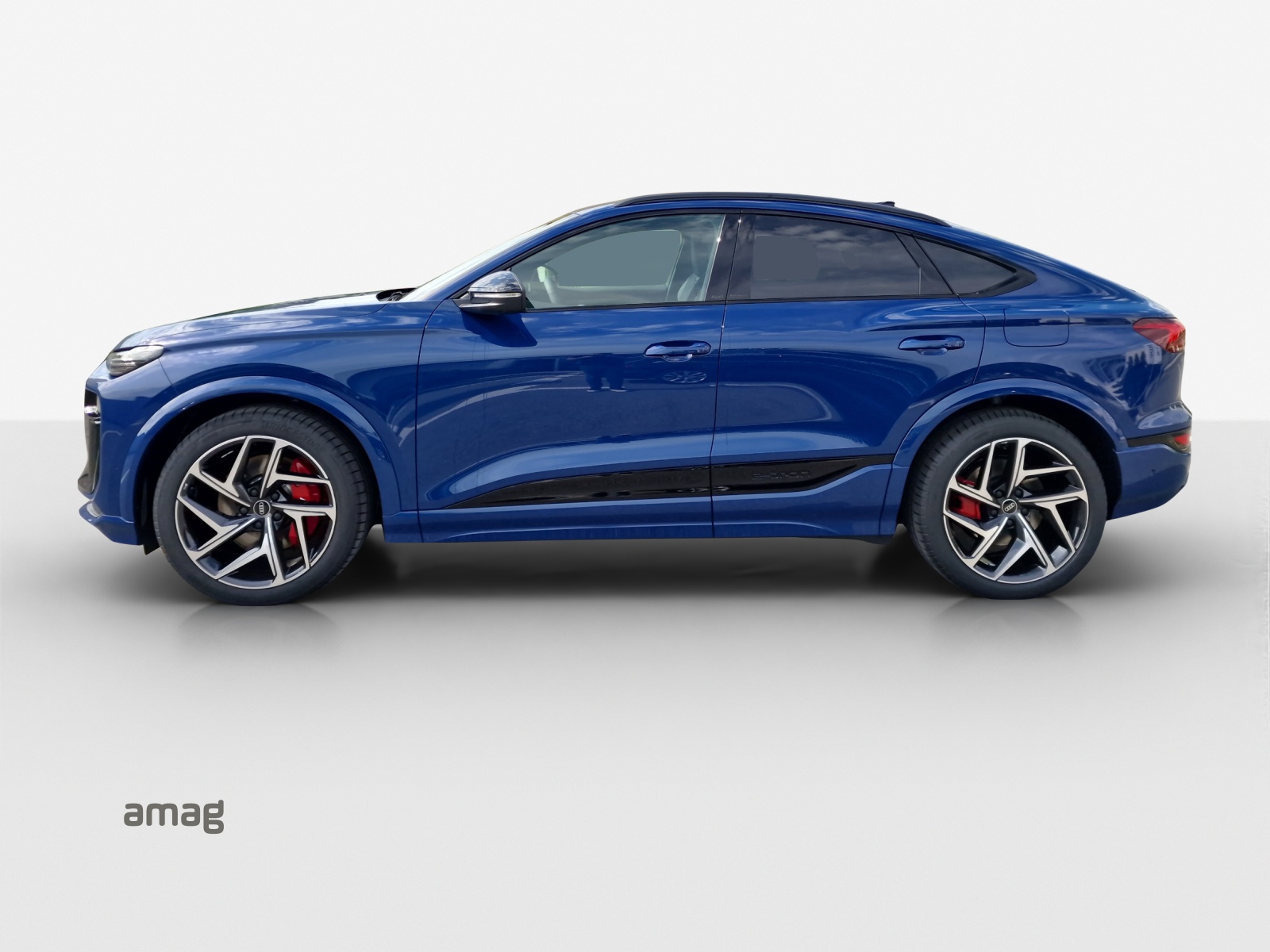 Audi SQ6 - Bild folgt... 1