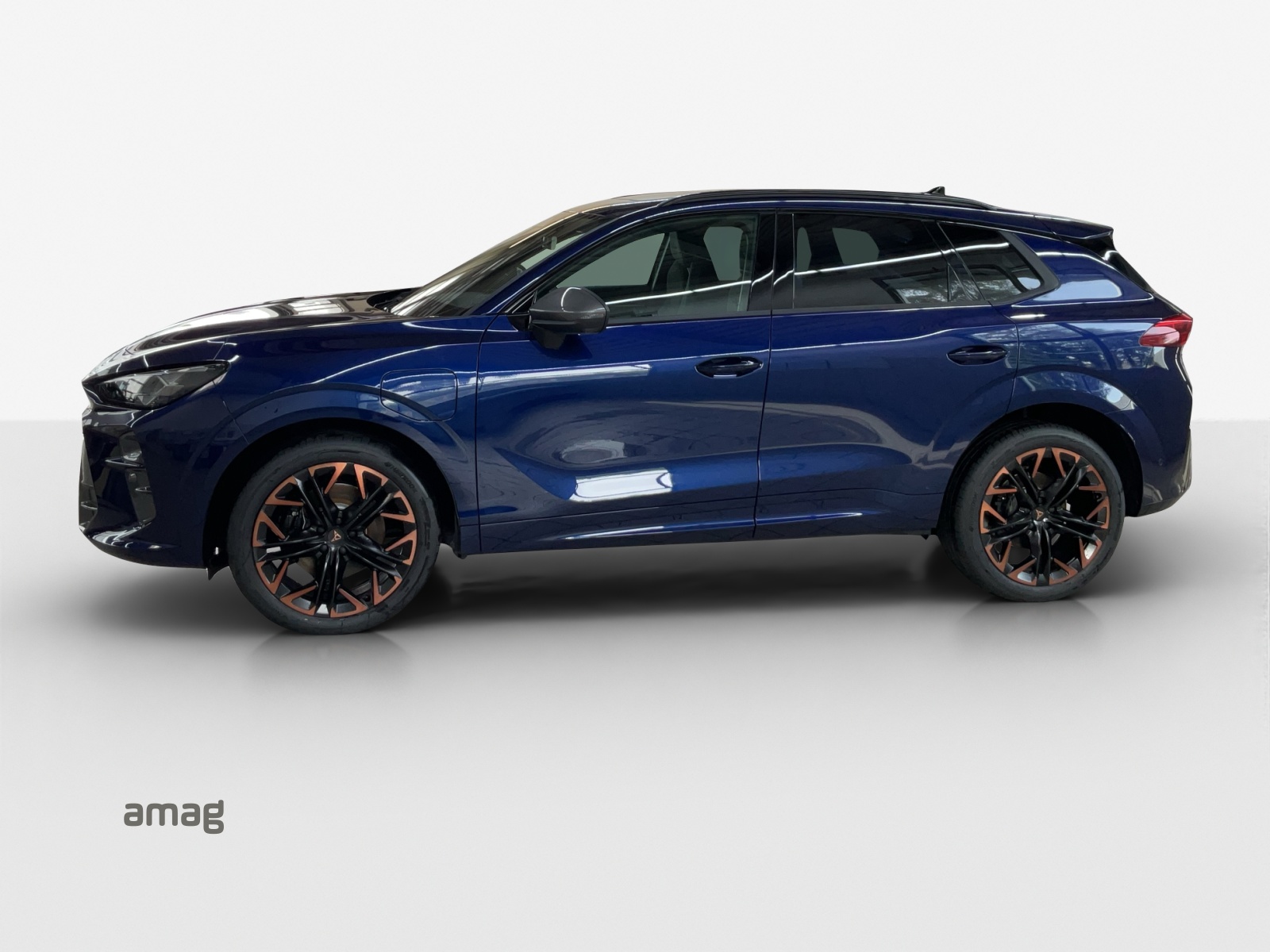 Cupra Terramar - Bild folgt... 1