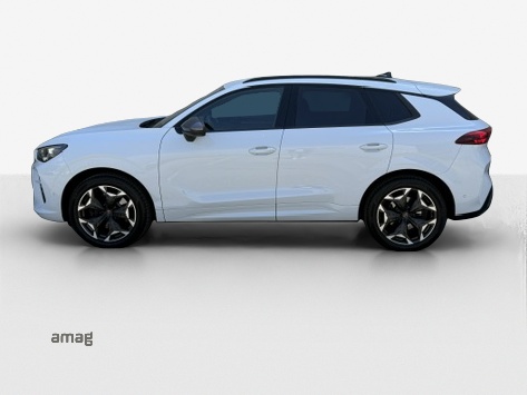 Cupra Terramar - Bild folgt... 1