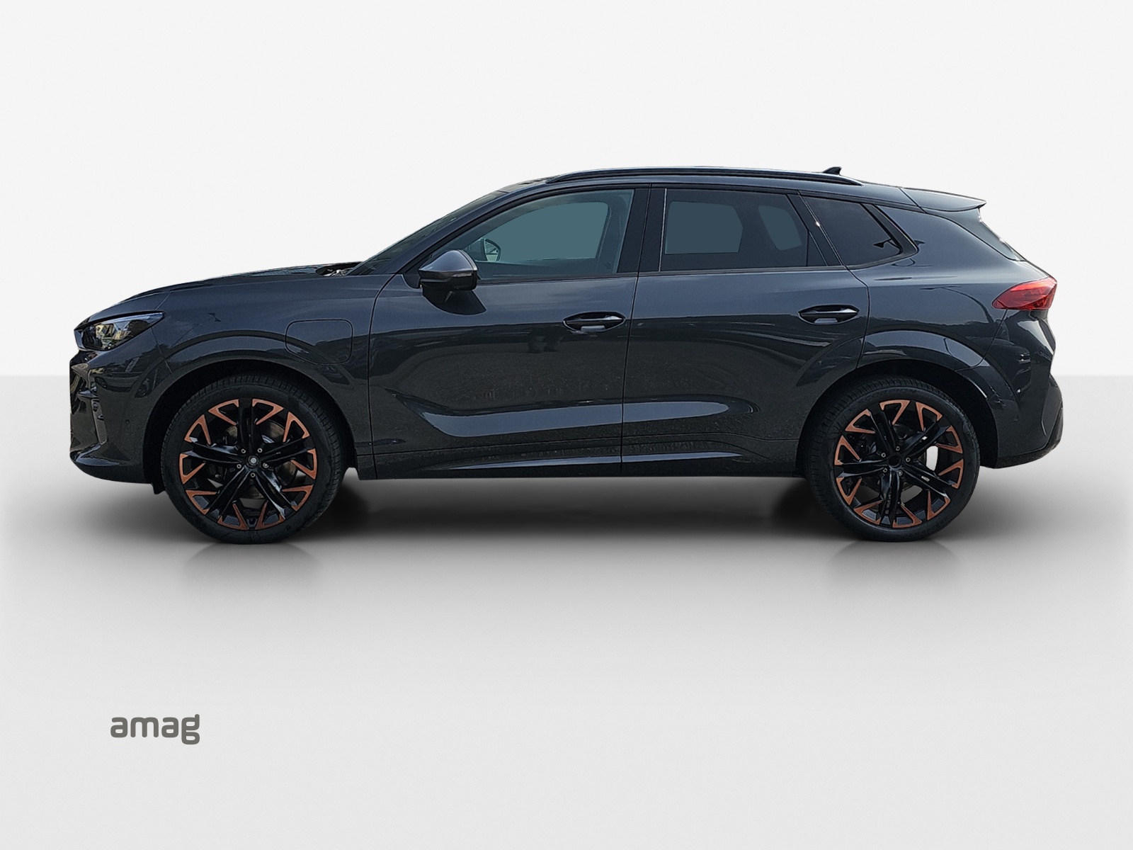 Cupra Terramar - Bild folgt... 1