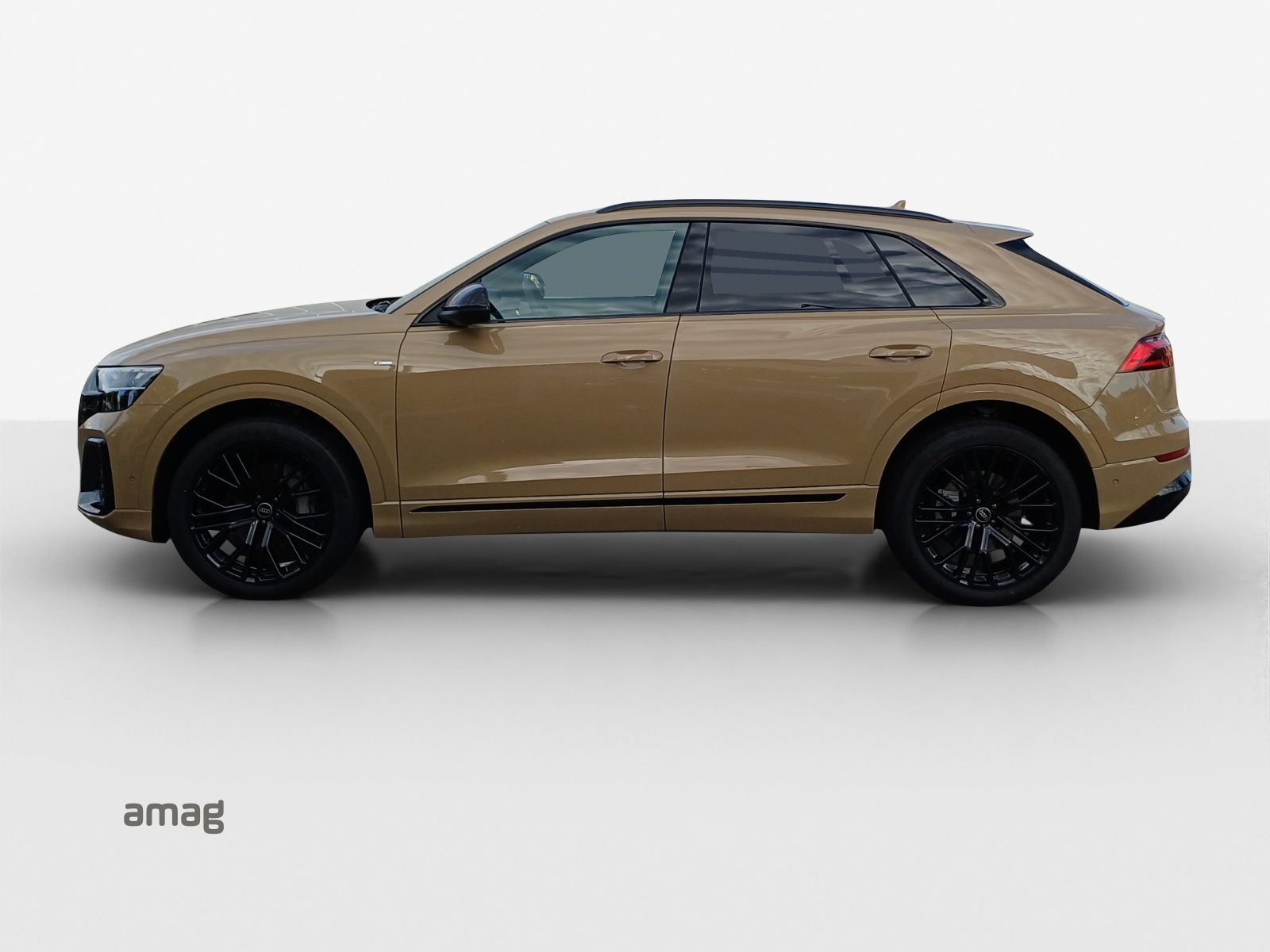Audi Q8 - Bild folgt... 1