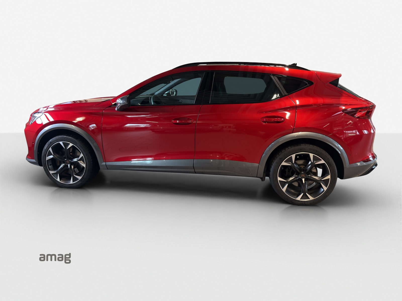 Cupra Formentor - Bild folgt... 1