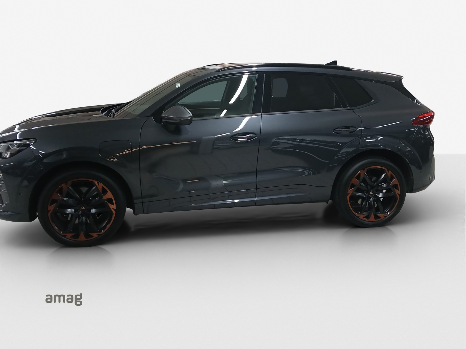 Cupra Terramar - Bild folgt... 1