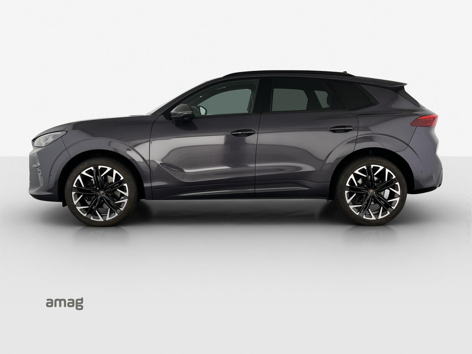 Cupra Terramar - Immagine in arrivo... 1