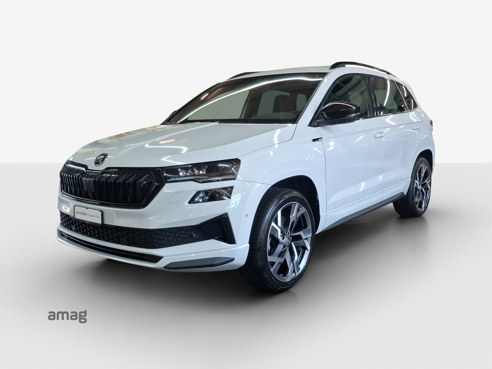 Škoda Karoq Leasing & Auto-Abo Angebot