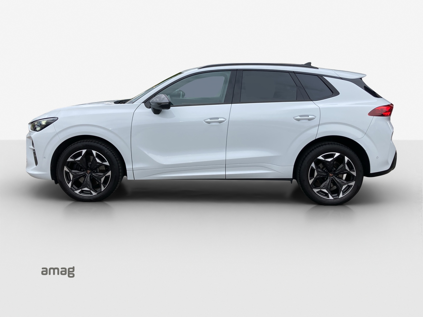 Cupra Terramar - Bild folgt... 1