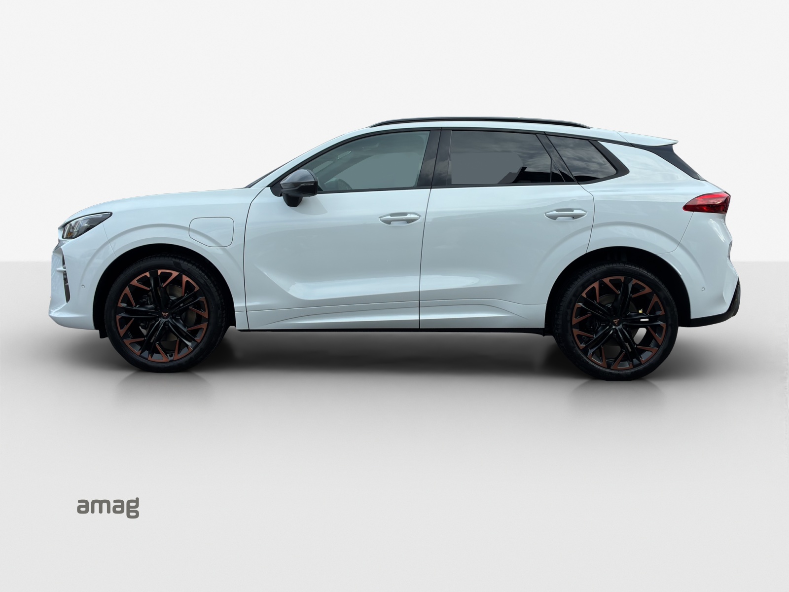 Cupra Terramar - Bild folgt... 1