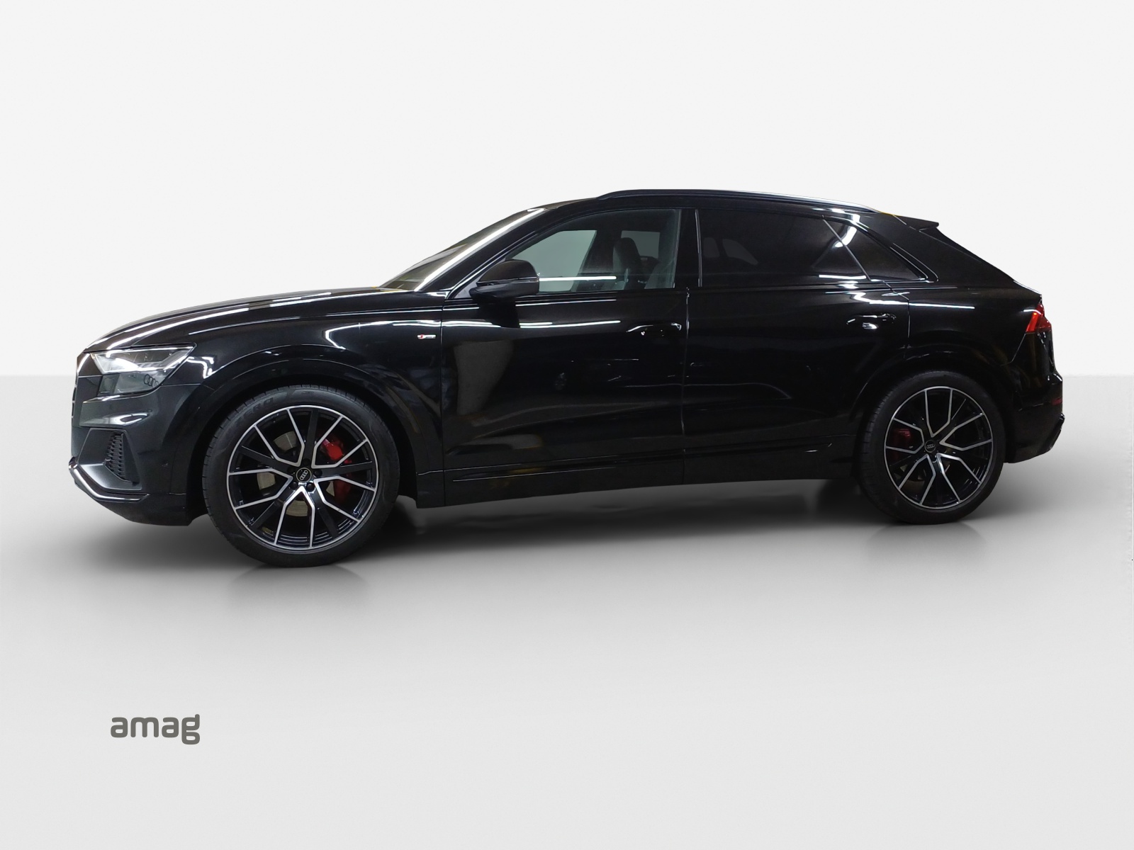 Audi Q8 - Bild folgt... 1