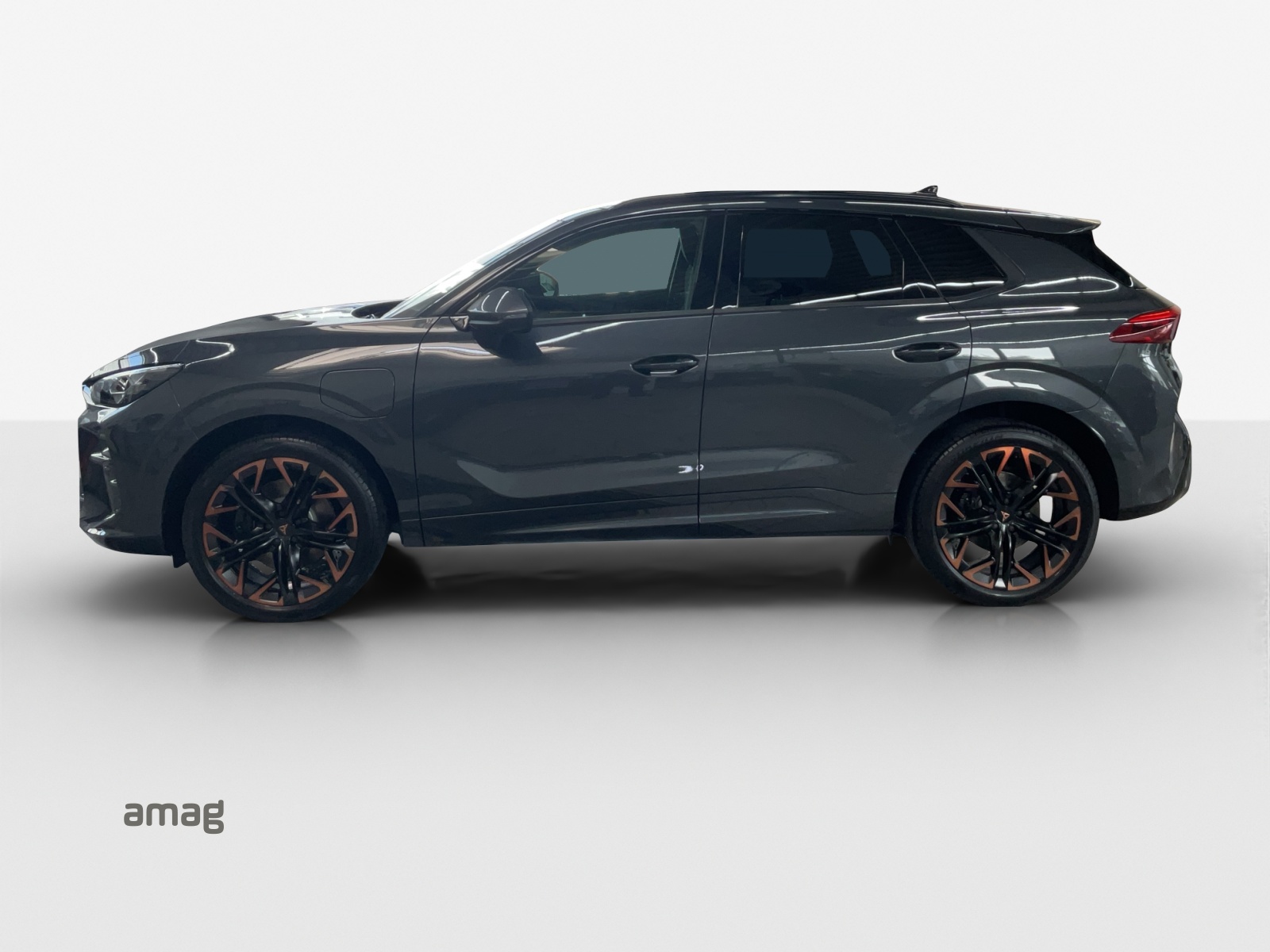 Cupra Terramar - Bild folgt... 1