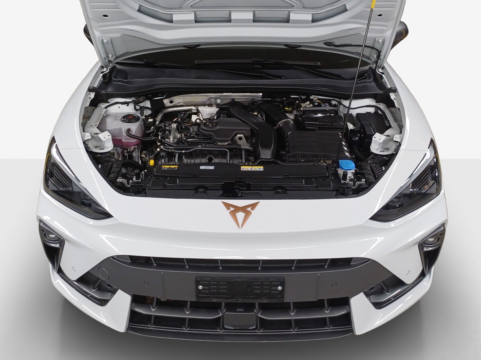 Cupra Leon - Bild folgt... 1