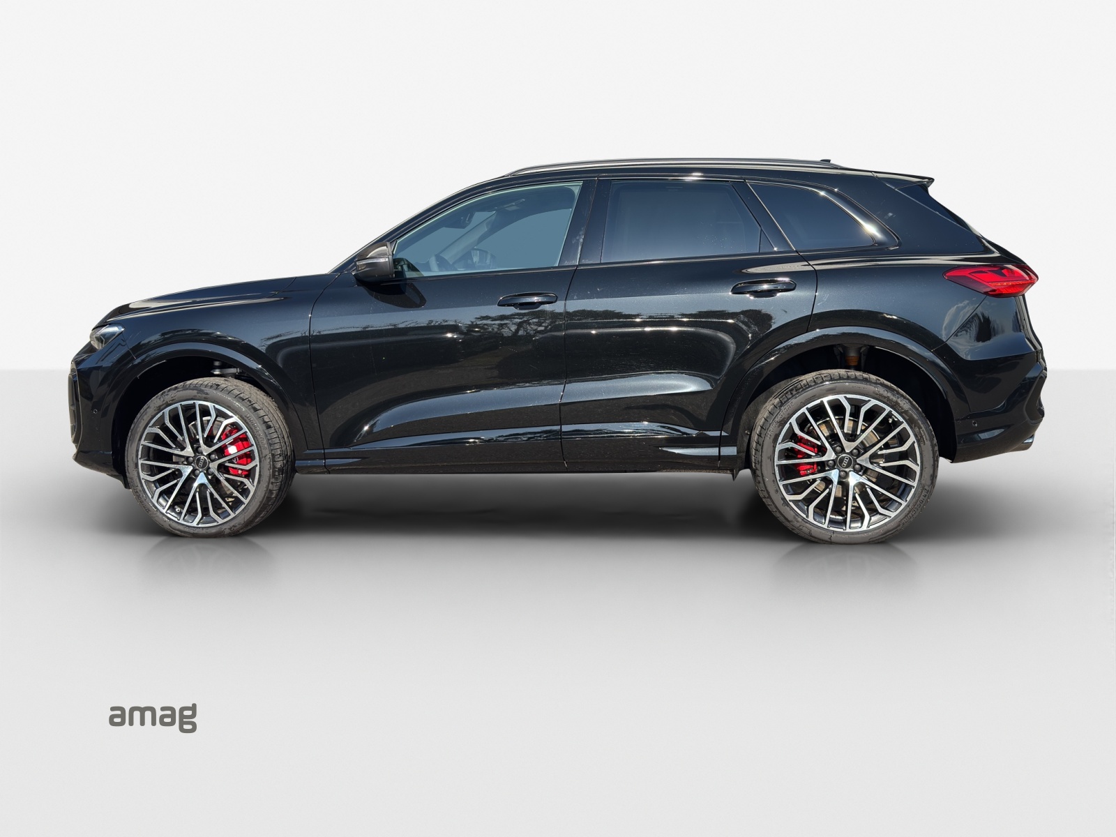 Audi SQ5 - Bild folgt... 1