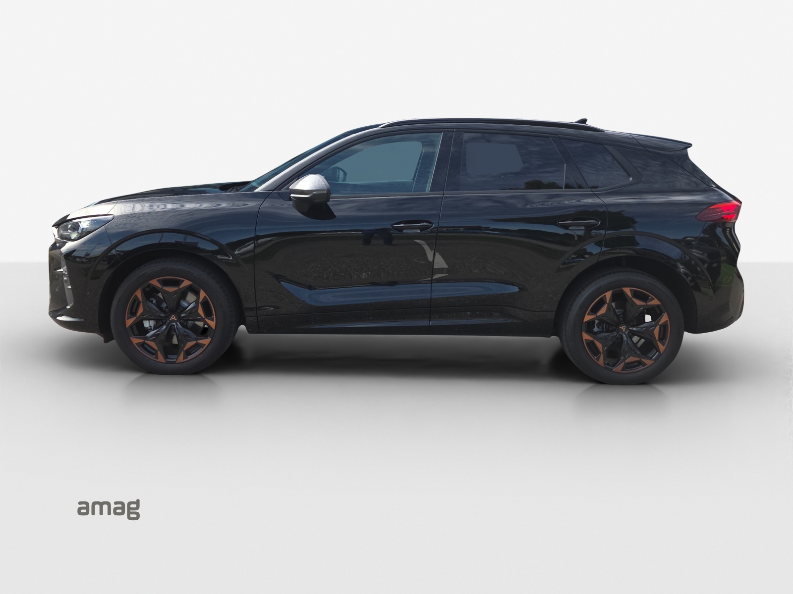 Cupra Terramar - Bild folgt... 1