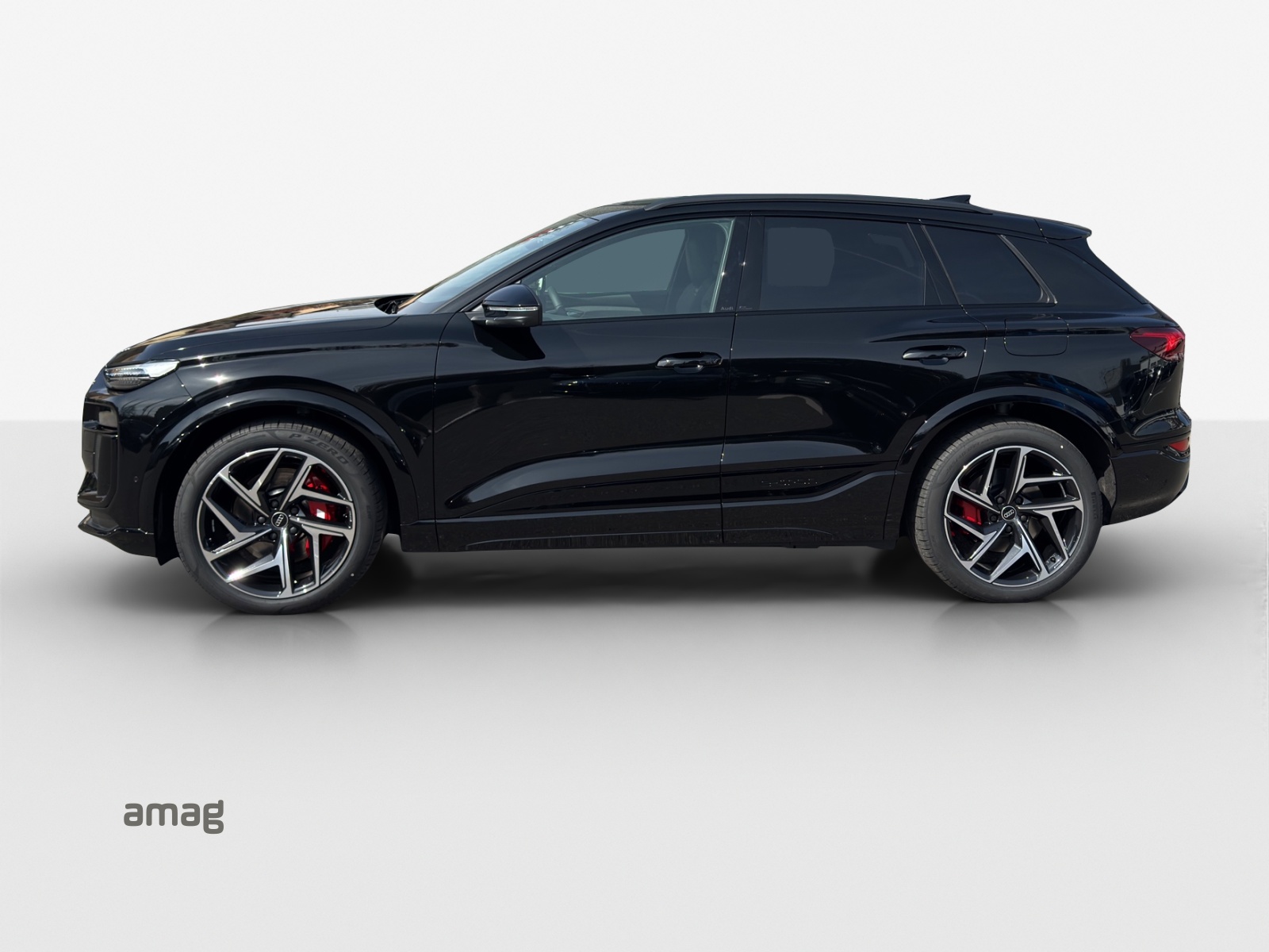 Audi SQ6 - Bild folgt... 1