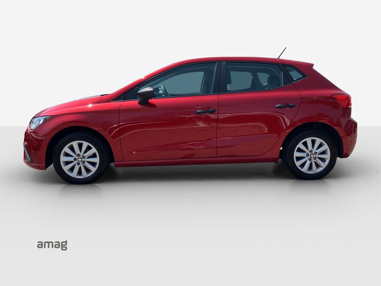Seat Ibiza - Image à venir... 1