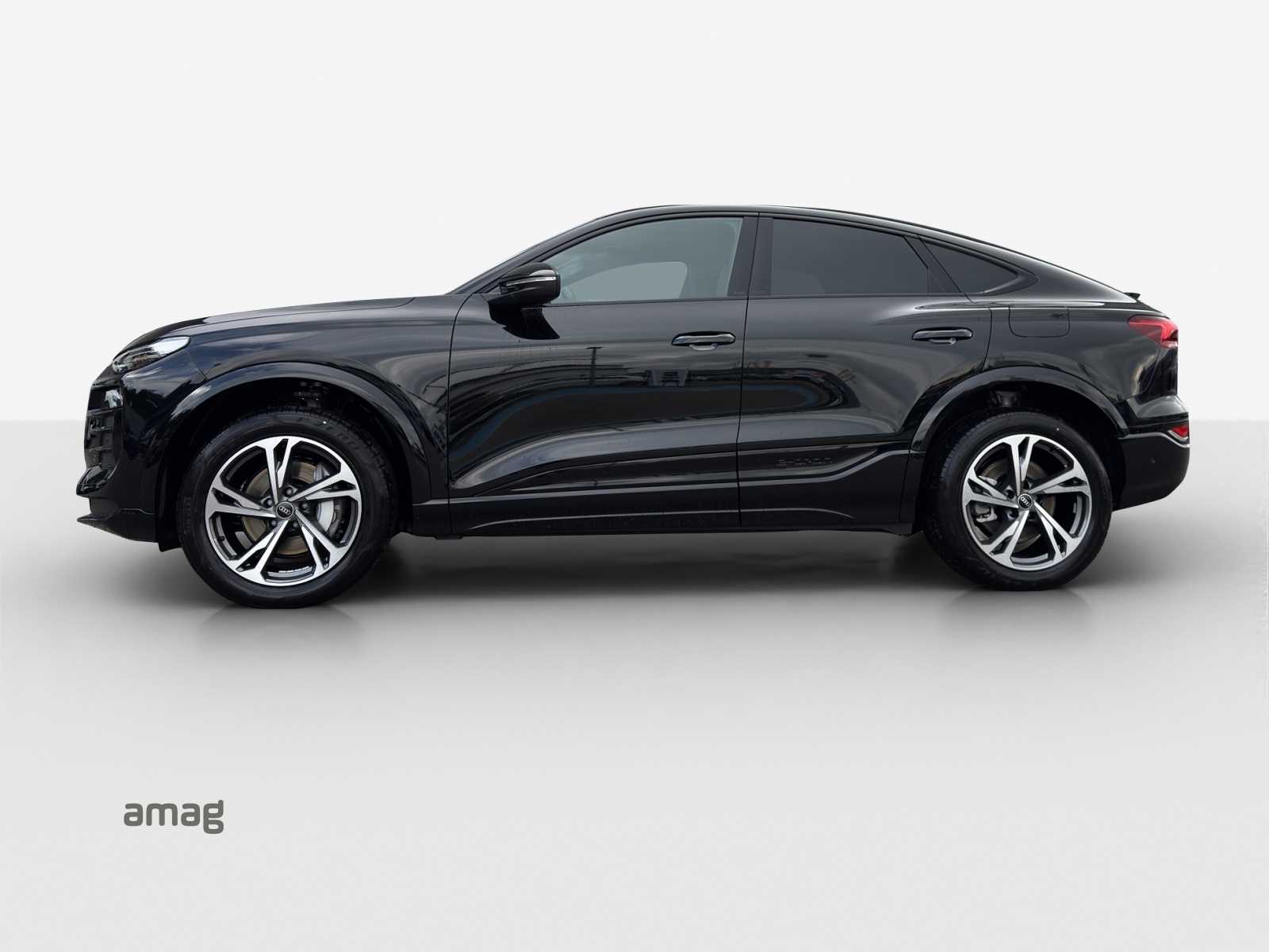 Audi Q6 - Bild folgt... 1