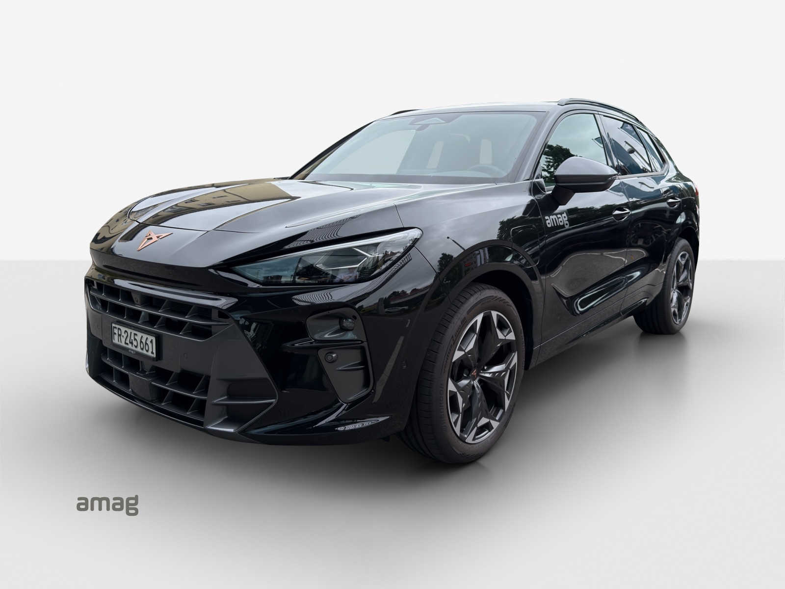 Cupra Terramar Leasing & Auto-Abo Angebot