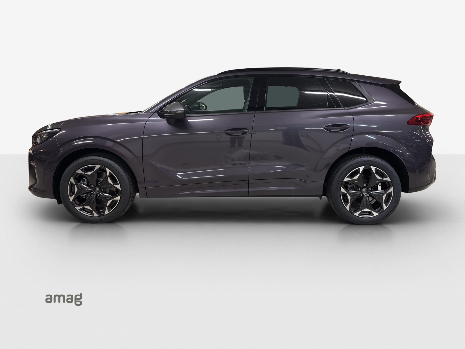 Cupra Terramar - Bild folgt... 1