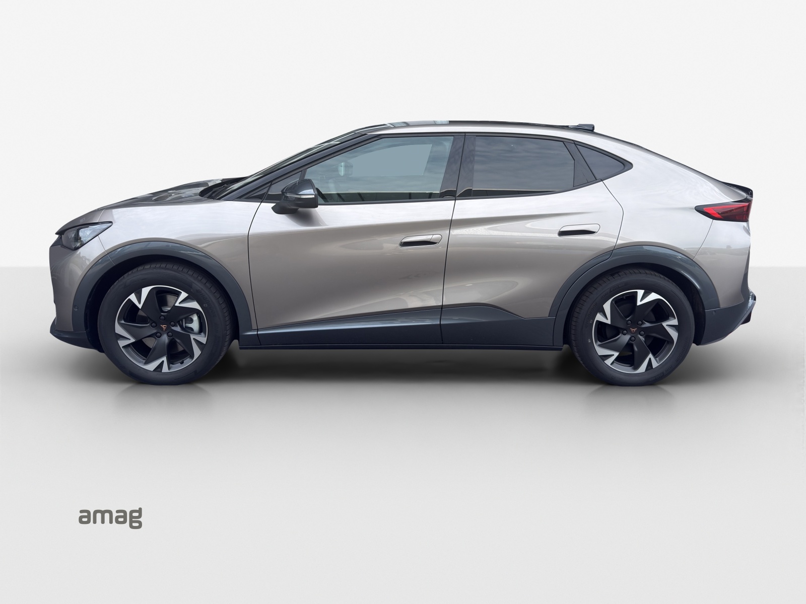 Cupra Tavascan - Bild folgt... 1