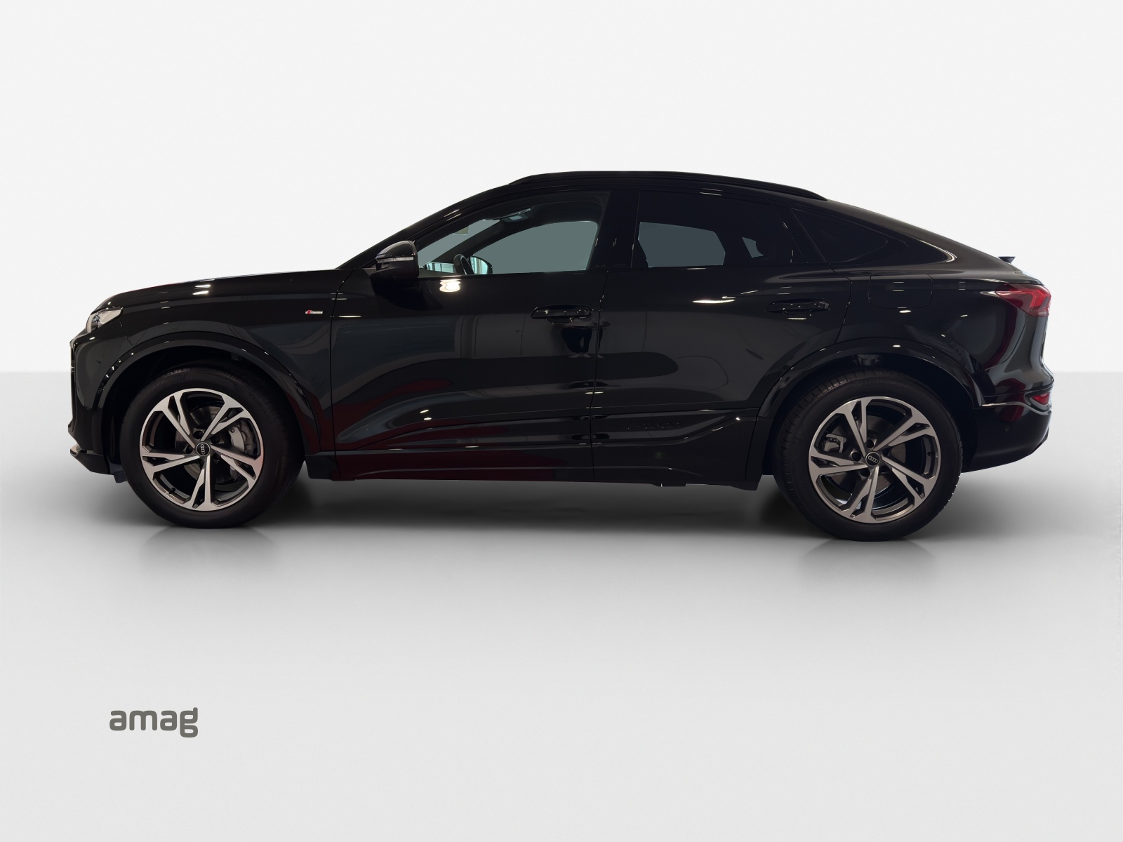 Audi Q6 - Bild folgt... 1
