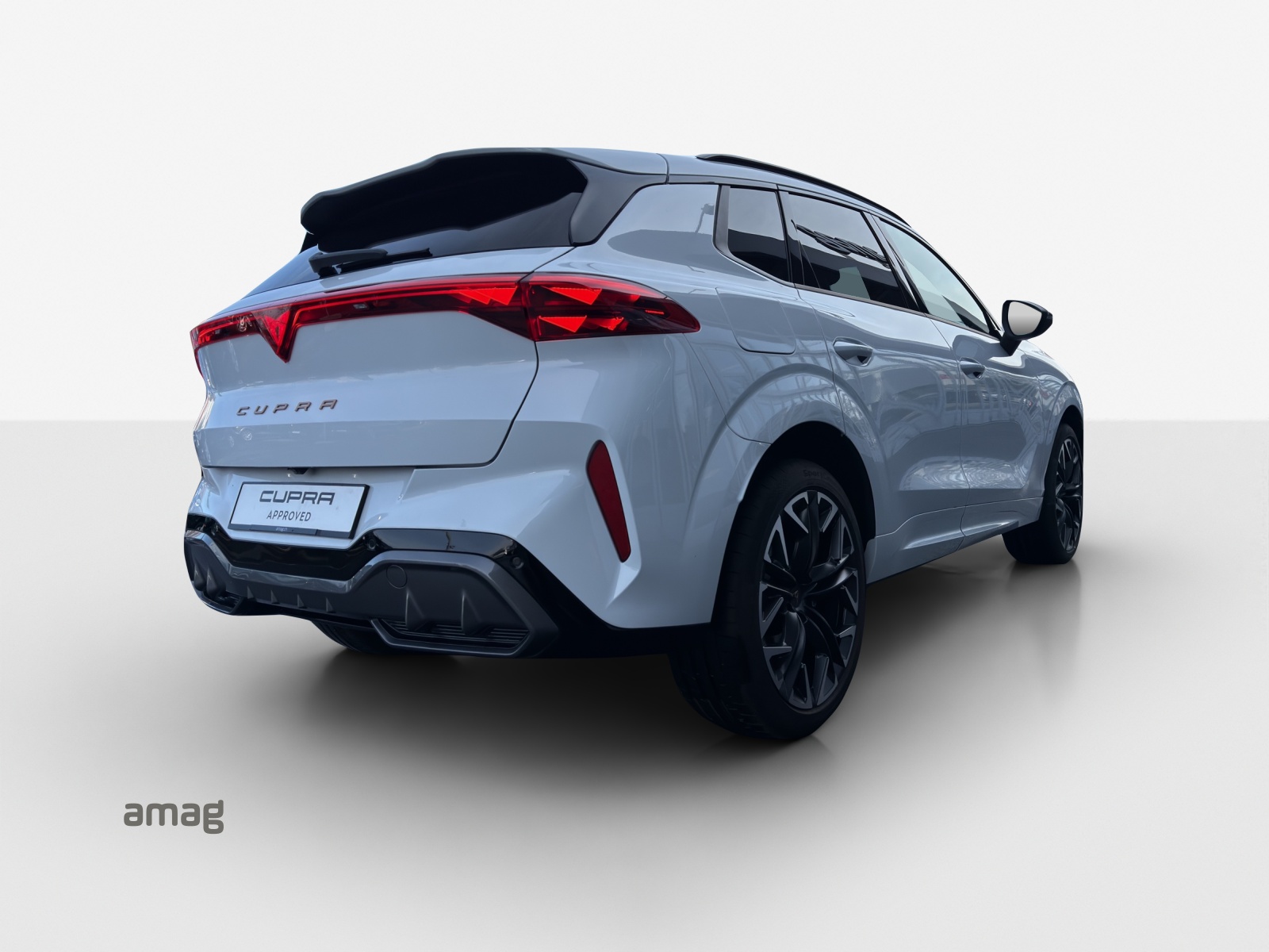 Cupra Terramar - Bild folgt... 1