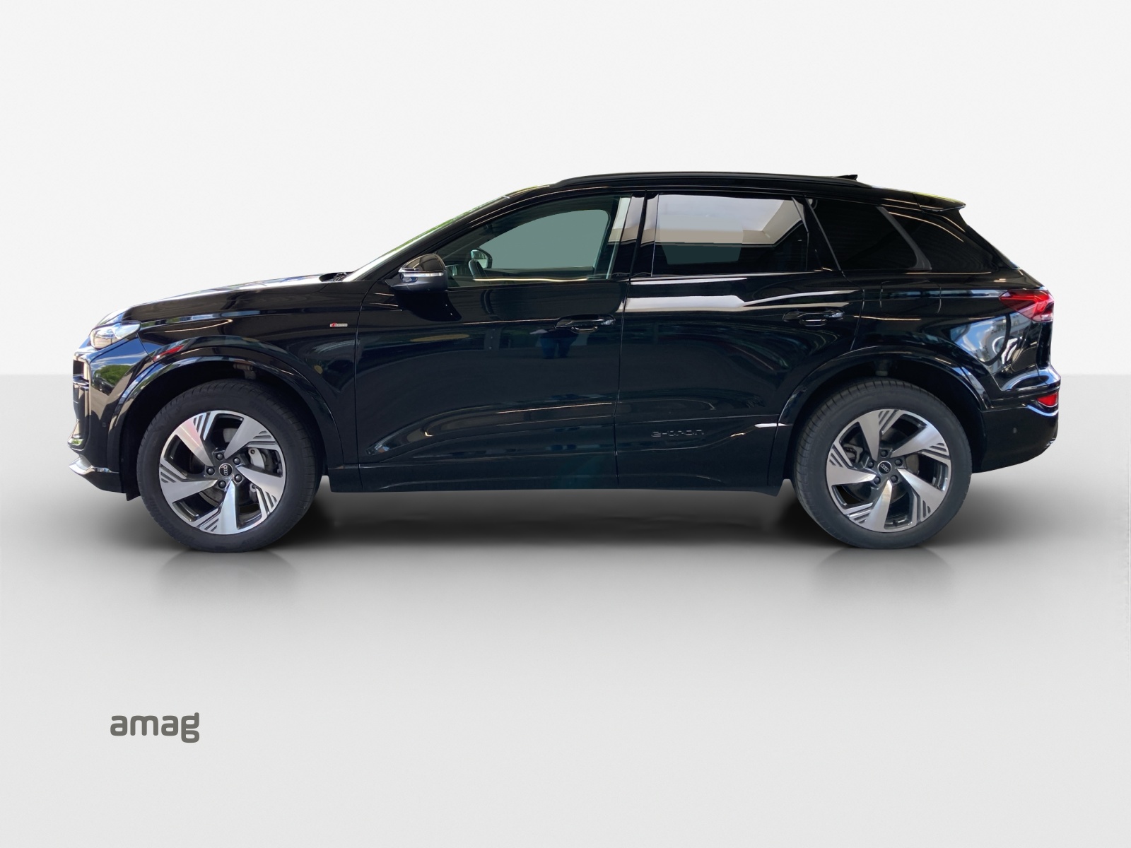 Audi Q6 - Bild folgt... 1