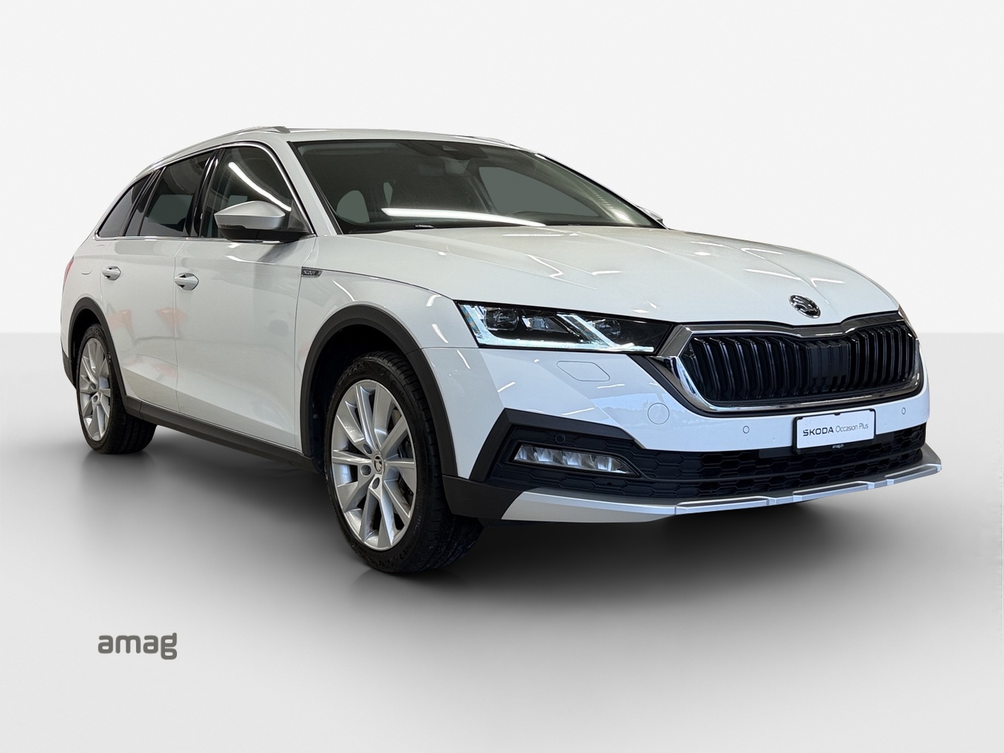 Škoda Octavia - Bild folgt... 1