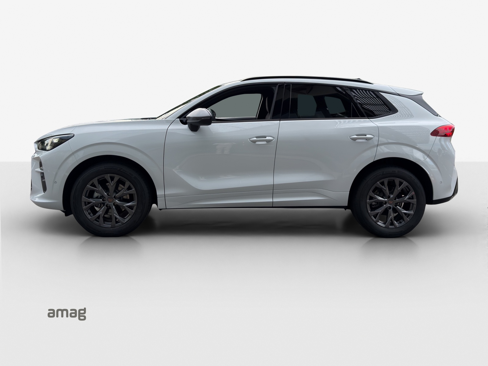 Cupra Terramar - Bild folgt... 1