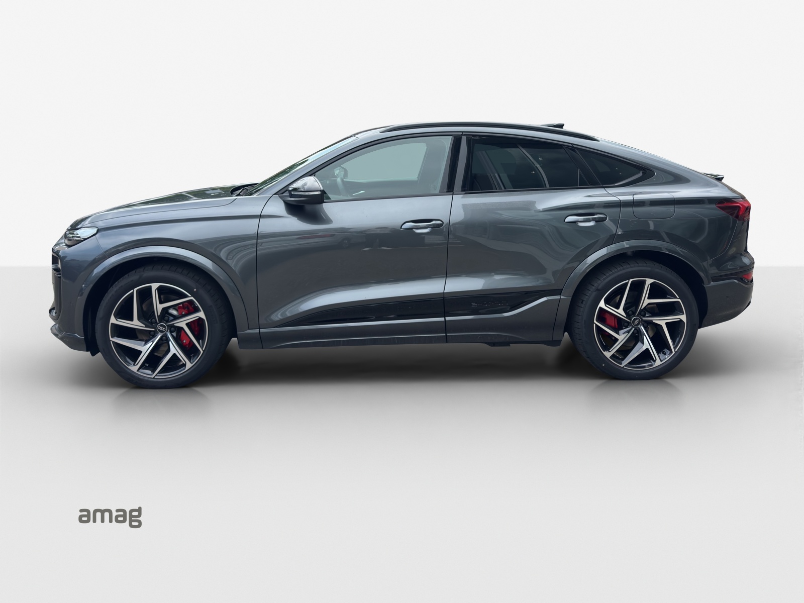 Audi SQ6 - Bild folgt... 1