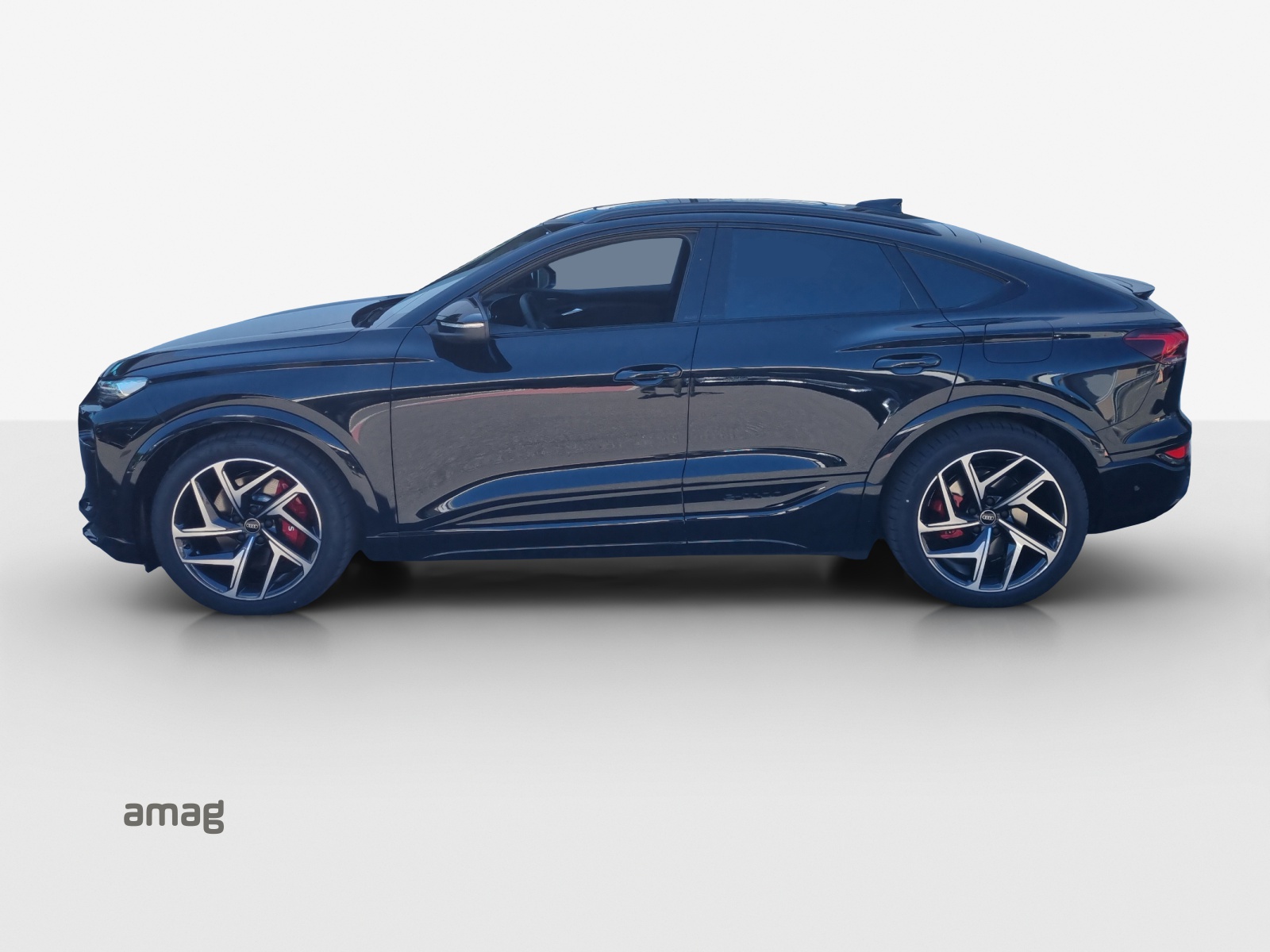 Audi SQ6 - Bild folgt... 1