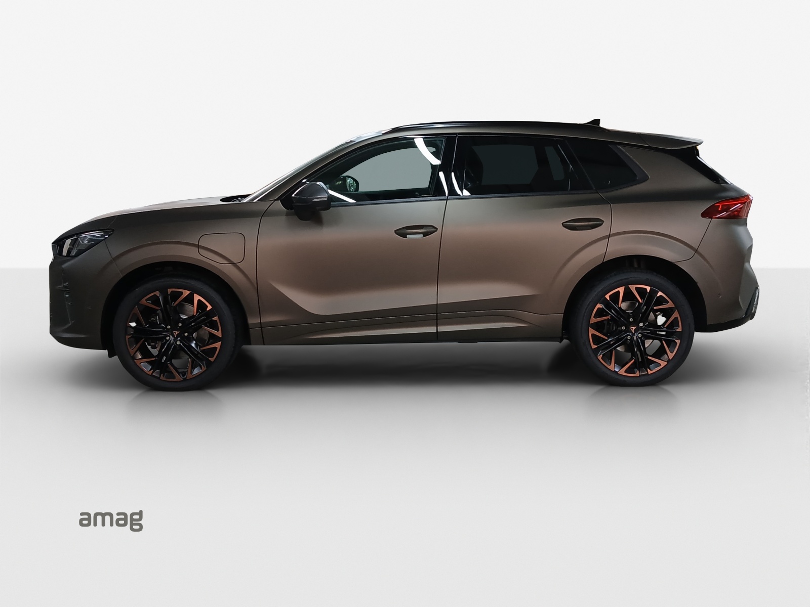 Cupra Terramar - Bild folgt... 1