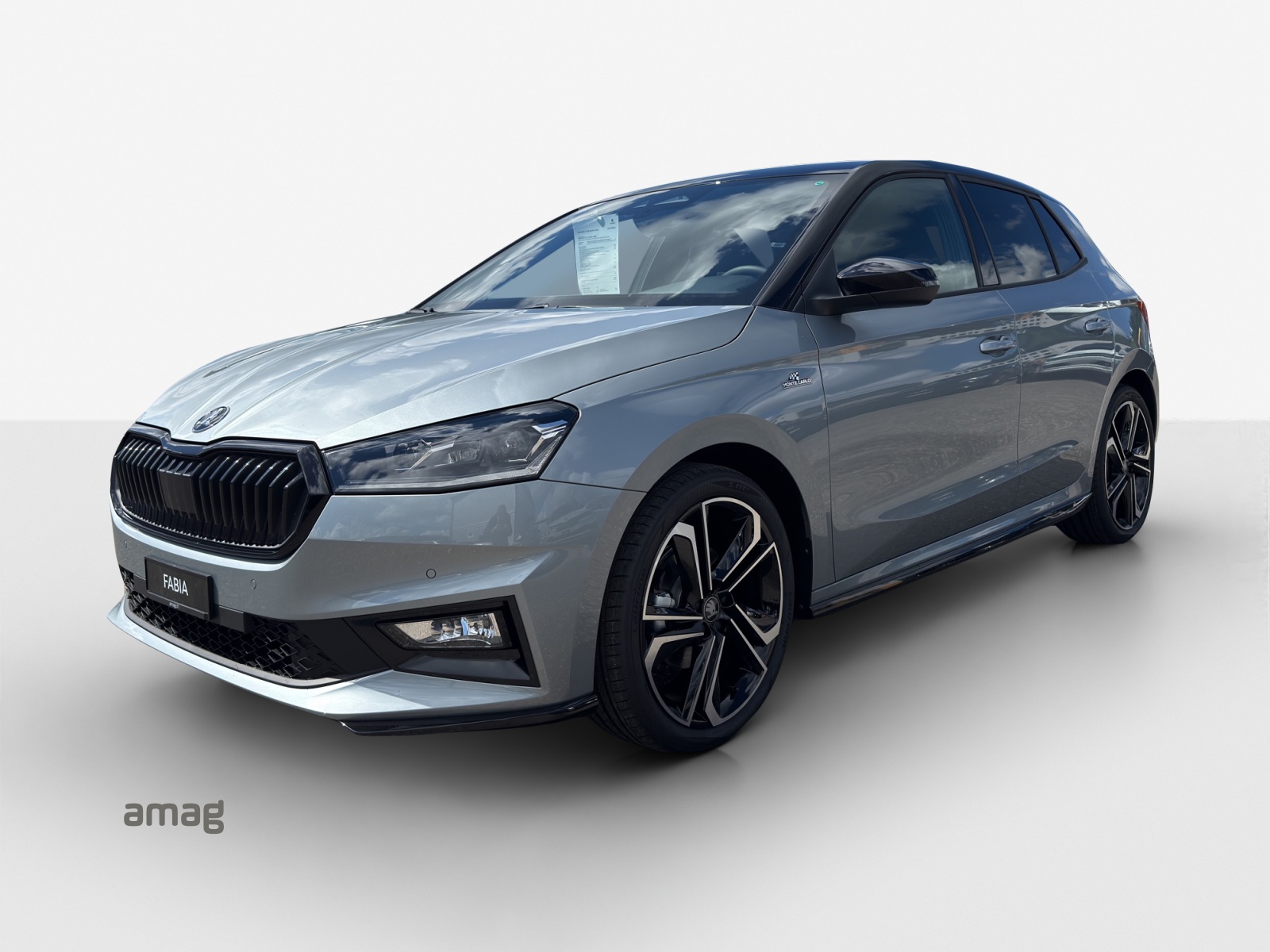 Offerta di leasing e abbonamento auto Škoda Fabia