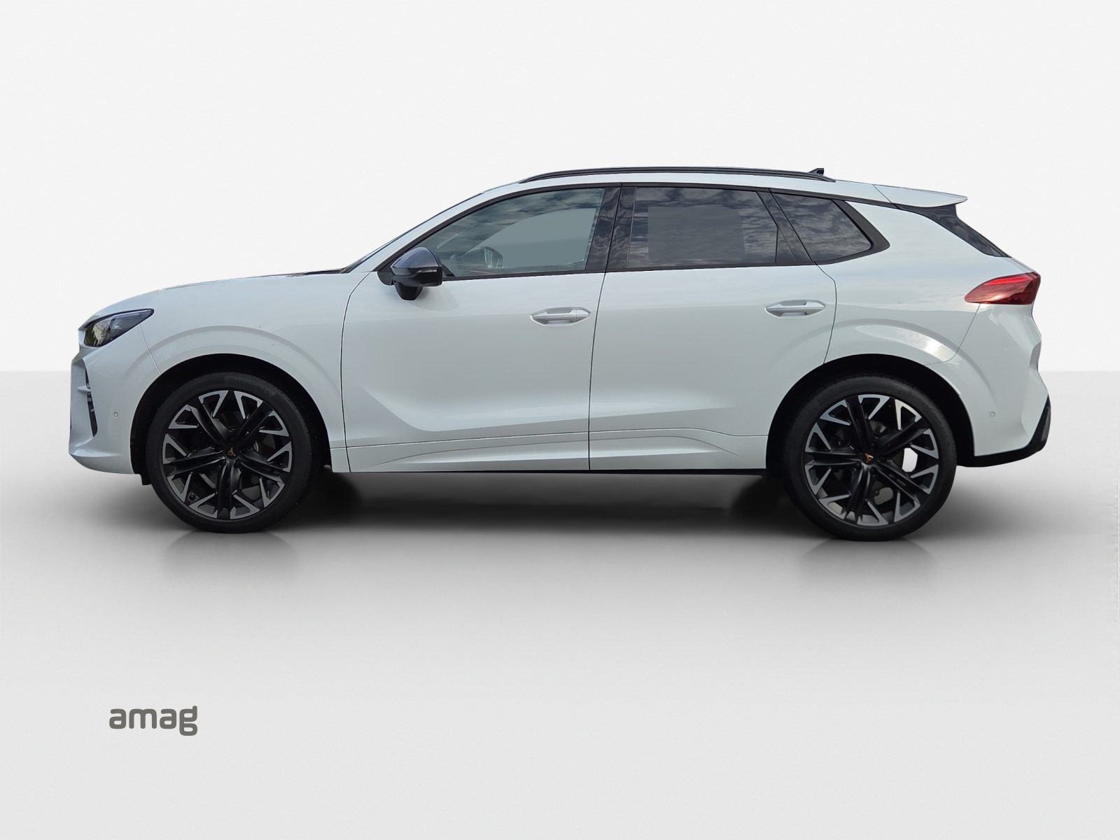 Cupra Terramar - Bild folgt... 1