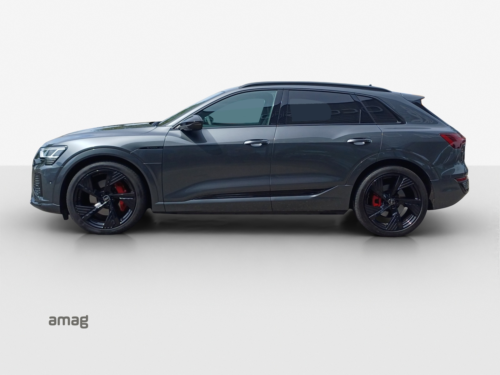 Audi Q8 - Bild folgt... 1